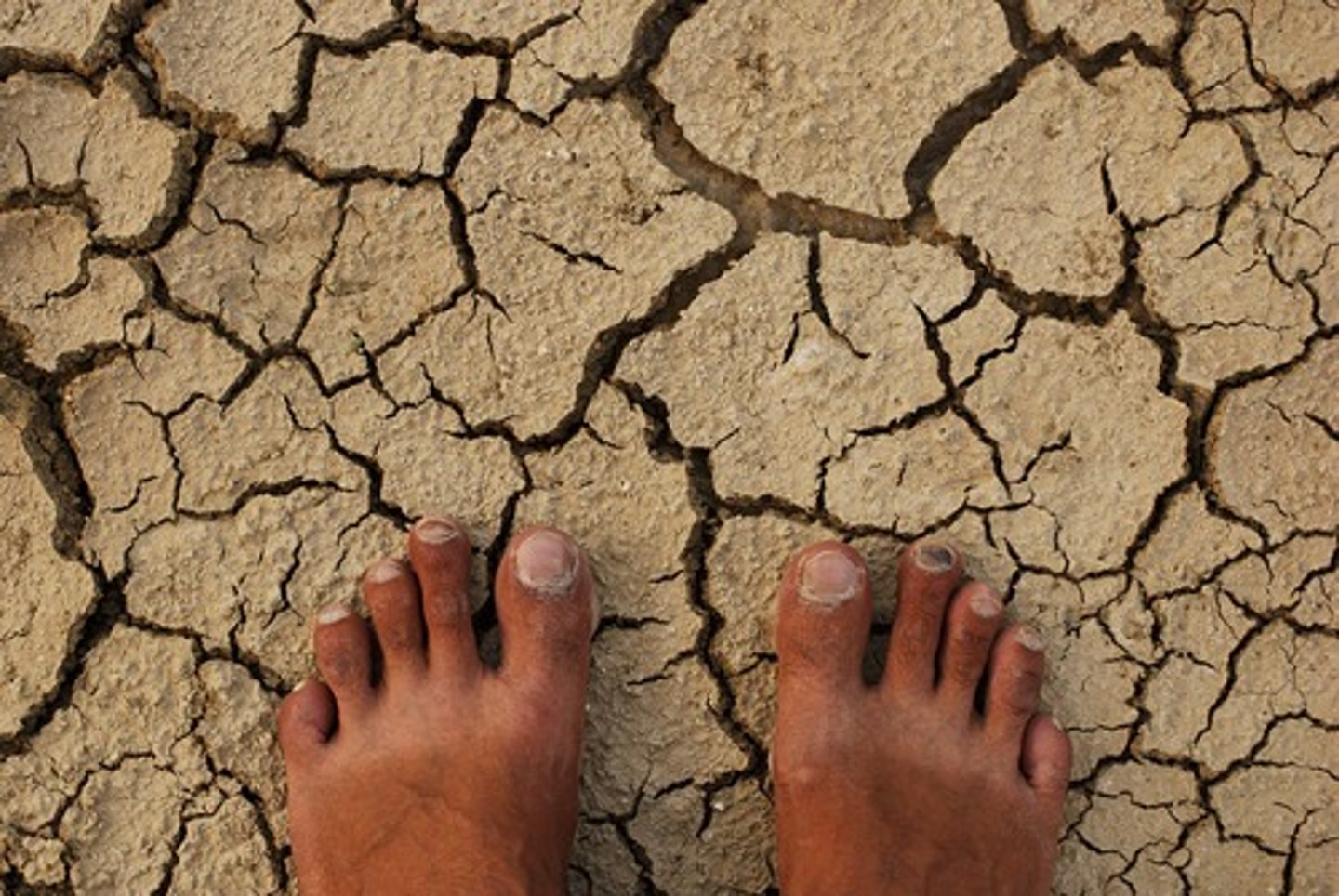 <p>(adj., part.) thoroughly dried out; divested of spirit or vitality; arid and uninteresting</p><p>SYN: dehydrated, shriveled</p><p>ANT: sodden, waterlogged, drenched</p>