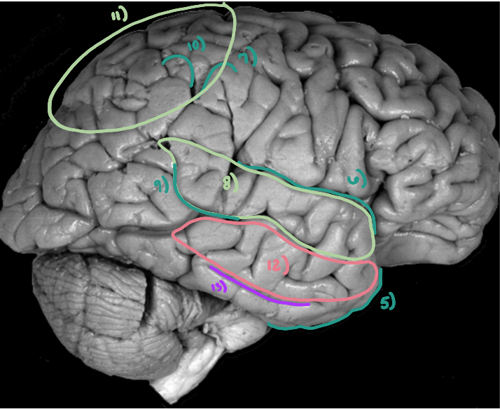 <p>What is number 6?</p>