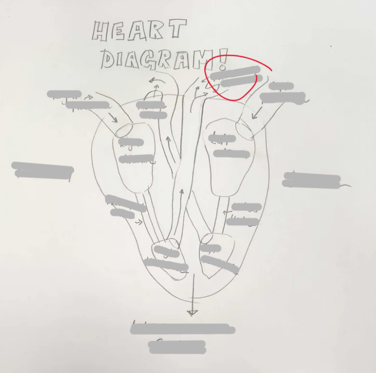 <p>What Structure is this? </p>