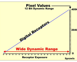 <p>Linear Response </p><ul><li><p>Each amount of exposure is recorded and assigned a distinct shade of gray.</p></li></ul><p></p>