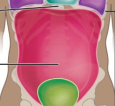 <p>What is the name of this Cavity? What group of cavities do they belong to?</p>
