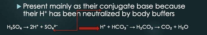 <p>acids derived from sources other than CO2</p><ul><li><p>uric acid, phosphoric acid, sulfuric acid, acetoacetic acid, etc.</p></li><li><p>cannot be removed through lungs and must be excreted through the kidney</p></li></ul><p></p>