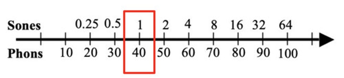 <p>for those with hearing loss, the increase of volume is much steeper (increases of 10dB might be perceived as 8 times louder for someone with hearing loss)</p>