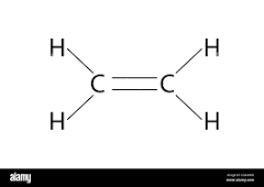 <p>ethene</p>