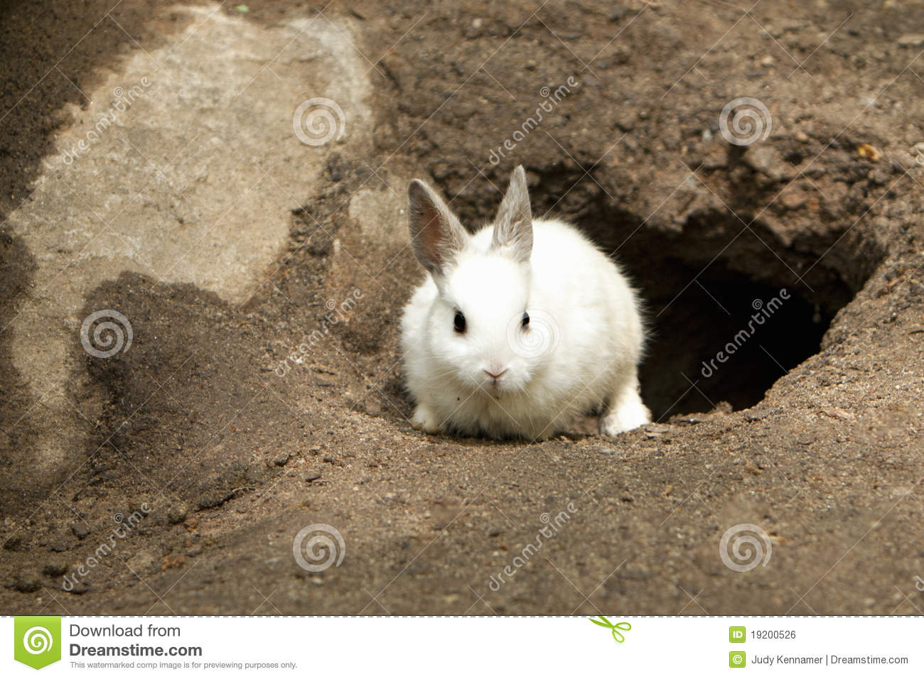 un terrier, a burrow, a rabbit hole

=Cueva en que habitan ciertos animales, especialmente los conejos