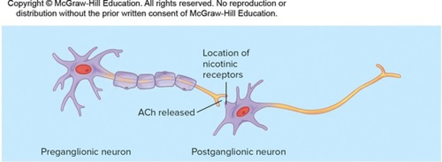 <p>All receptors on postganglionic neurons, all skeletal muscles, adrenal glands.</p>