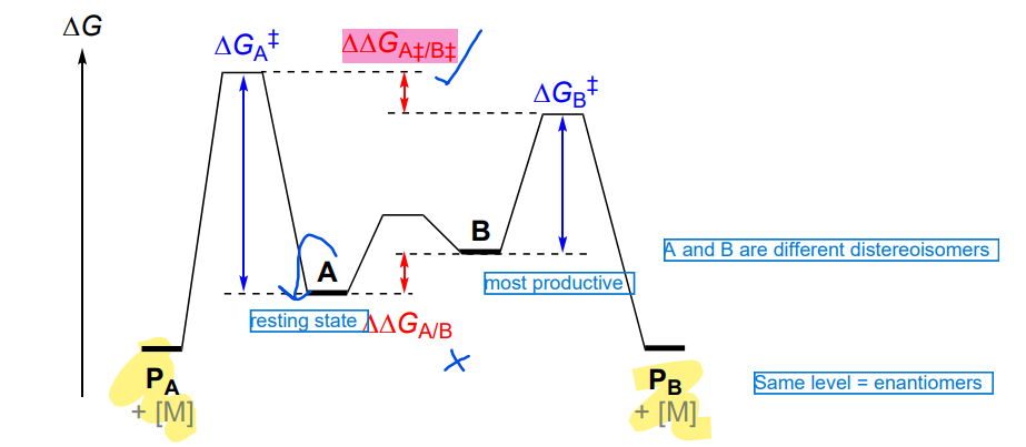 <ul><li><p>If A + B are in fast equilibrium (relative to product formation), then the product composition is determined by the difference G at Ts A and TS B </p></li></ul><p></p>