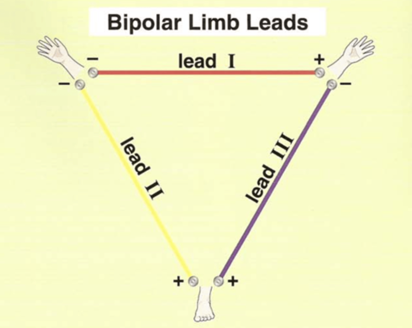 <p>The bipolar limb lead configuration is sometimes called, "Einthoven's Triangle."</p>