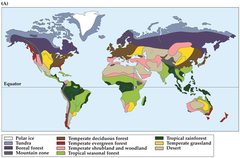 A group of ecosystems that share similar climates and typical organisms.