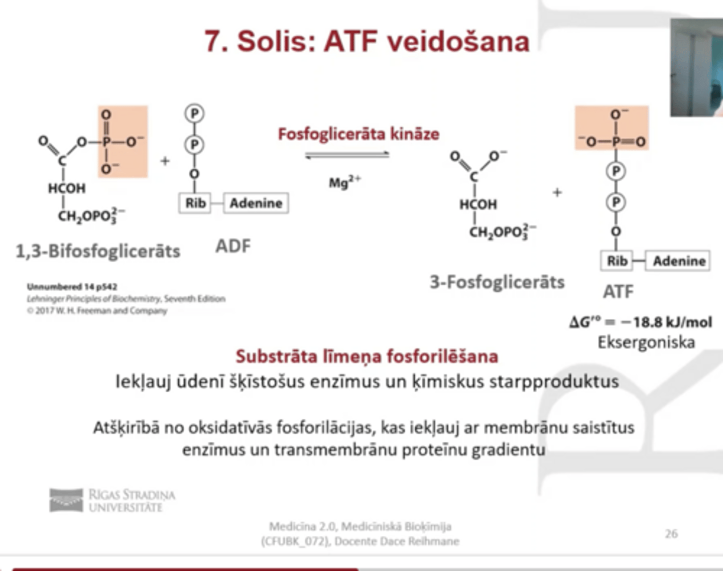 <p>ATF veidošana</p><p>substrāta līmeņa fosforalizēšana</p><p>Enzīms: Fosfoglicerāta kināze + Mg</p><p>1,3 bifosfoglicerāts + ADF--> 3- fosfoglicerāds + ATF</p>
