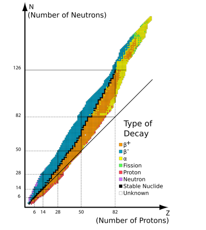 <p>number of neutrons and protons in a stable nucleus doesn’t increase uniformly beyond around 20 of each</p><p>the electromagnetic force of repulsion becomes larger than the strong nuclear force beyond this amount</p><p>more neutrons are needed to increase the distance between the protons to decrease the magnitude of the electromagnetic force to keep the nucleus stable</p>