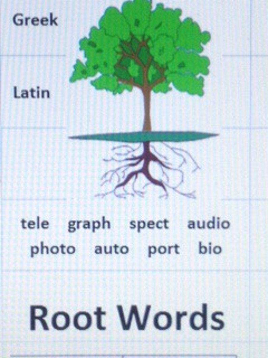 <p>the study of word origins</p>