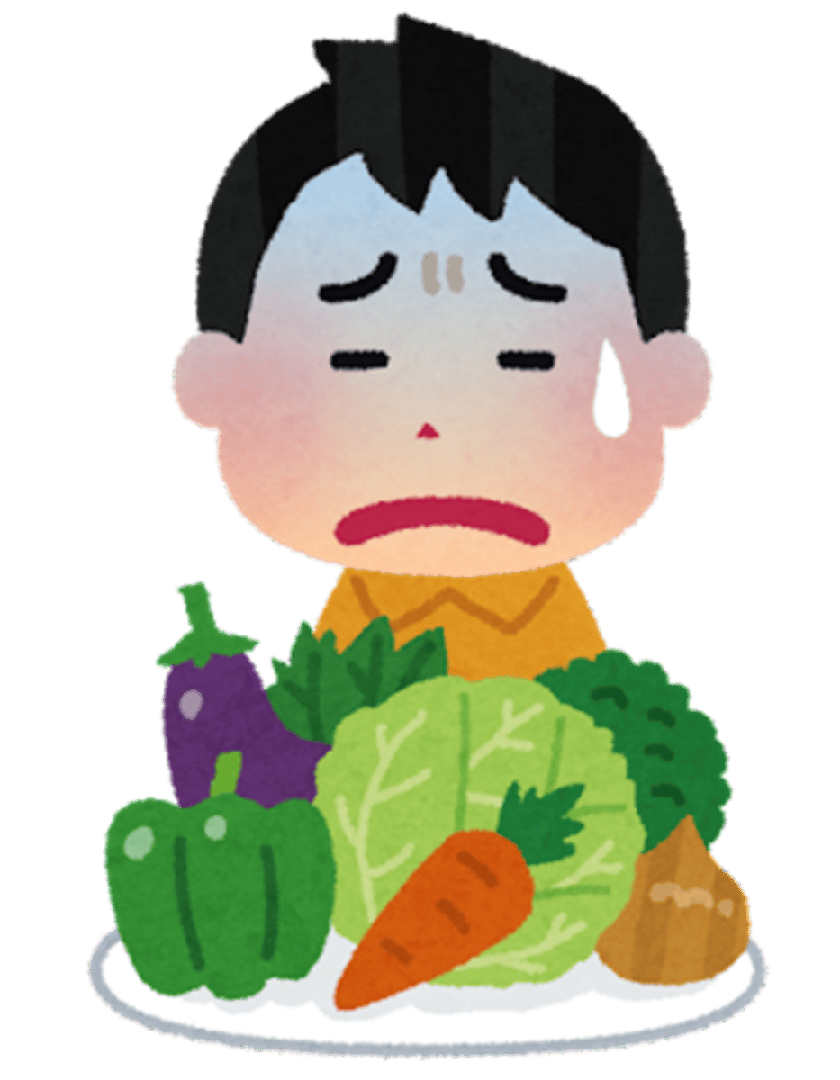 <p>[NOUN] ga kirai desu.</p>