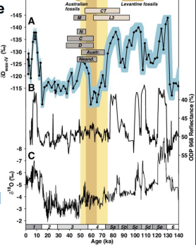 <p>what does this graph show</p>