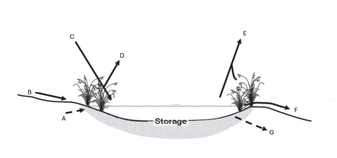 <p>Label water sources in and out of wetland A-G</p>