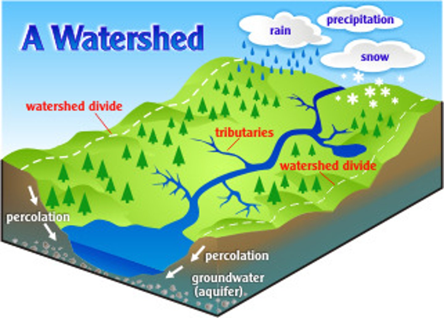 <p>The surface area or region from which water drains into a stream, river, reservoir, or other water body</p>