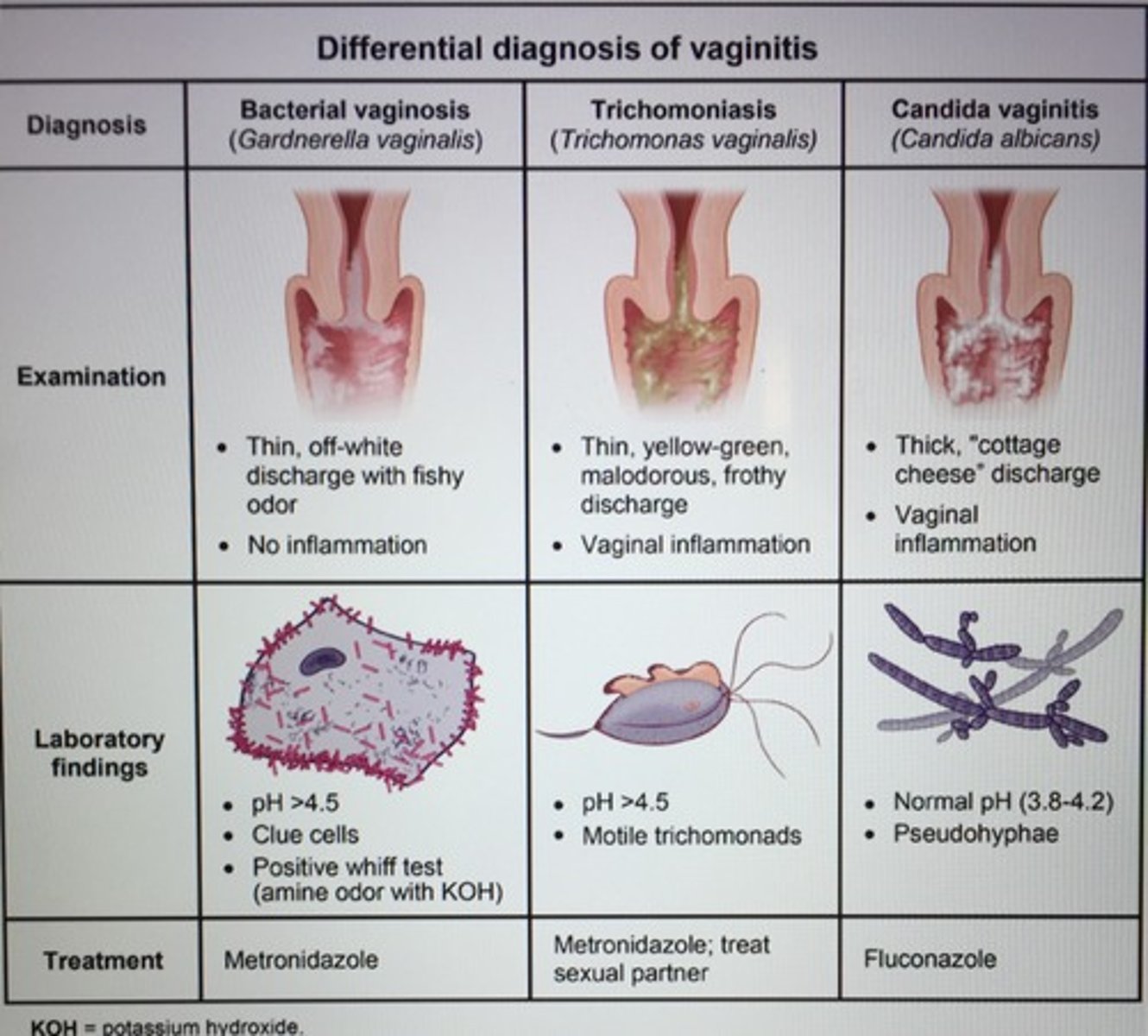 <p>diagnóstico, dictamen médico</p>