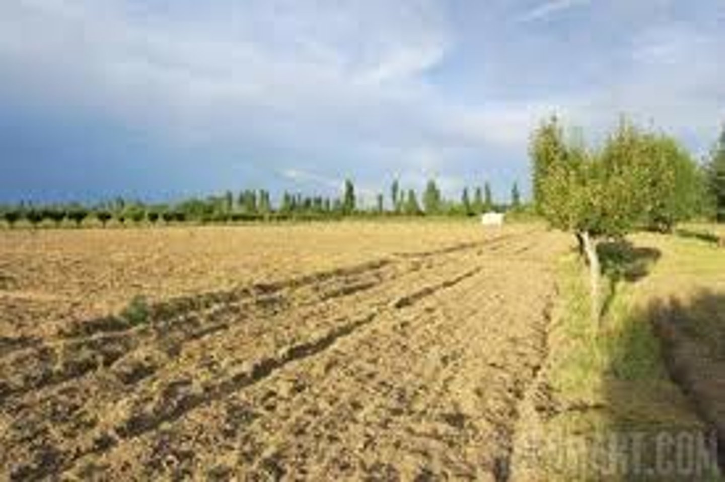 <p>plowed but not seeded; inactive; reddish-yellow; land left unseeded; to plow but not seed</p>