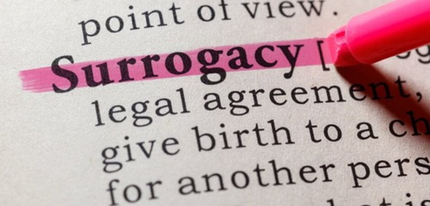 <p>an arrangement where a woman (surrogate mother) is paid a fee or financial reward for carrying and delivering a baby for intended parents, going beyond the reimbursement of standard pregnancy-related expenses</p>