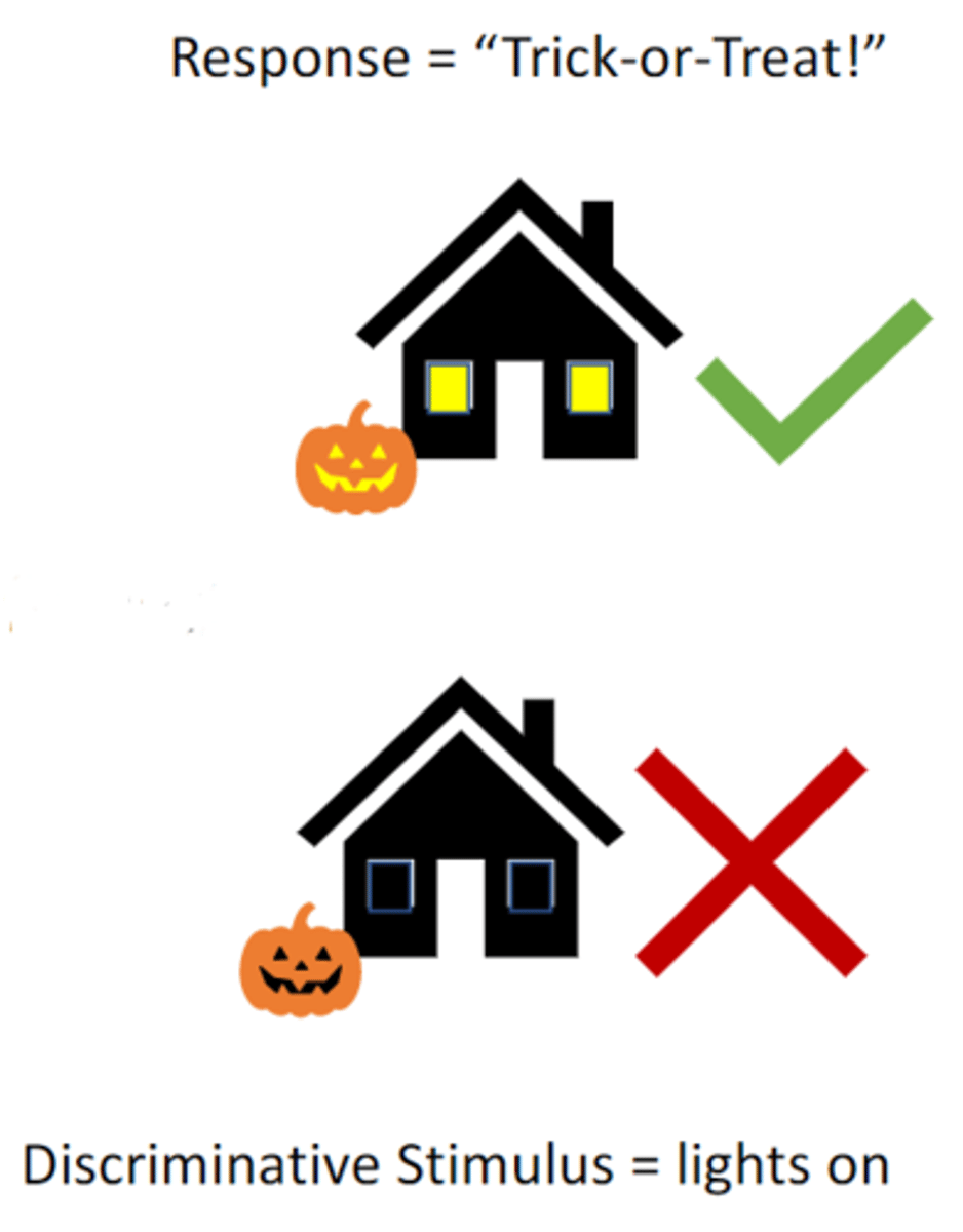 <p>In operant conditioning, a stimulus that signals whether a certain response will be reinforced. For example, a green light signals that pressing a lever will result in food, whereas a red light does not.</p>