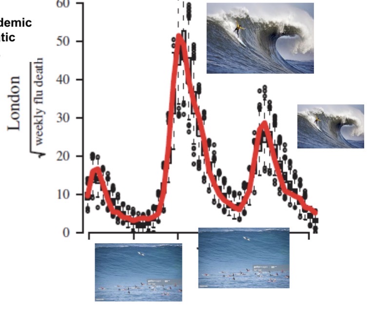 <ul><li><p>A lack of a clear definition of what constitutes a “wave” can lead to contradictory assessments by politicians and the media regarding whether current case increases constitute a wave or not. This can create pandemic response fatigue.</p></li><li><p>Actual waves do not behave like viruses at all. Epidemic “waves” are not a physical force that comes at us regardless of what we do. Rather, our behavior matters. Thinking of aquatic waves can lead people to be less vigilant while in a “trough”, thus encouraging exactly the type of behavior that will lead to a new outbreak – a panic-neglect cycle</p></li></ul><p></p>
