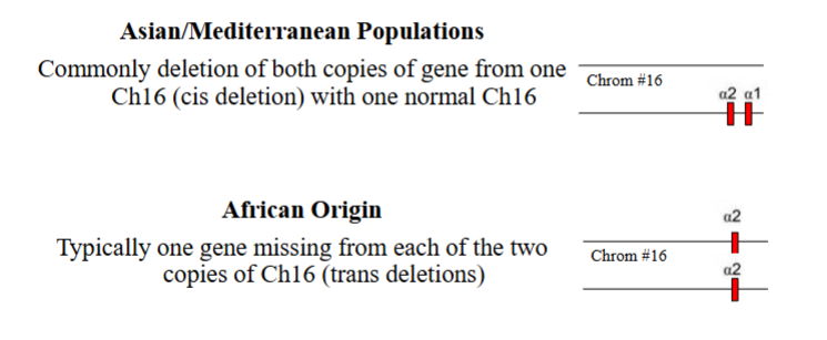 <p>HbH disease (3 defective loci ) is most common in Asian heritage</p>