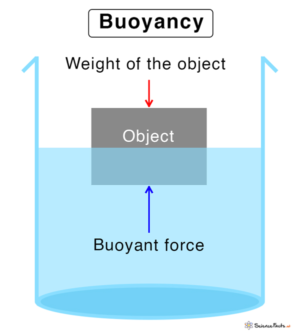 <p>buoyancy</p>