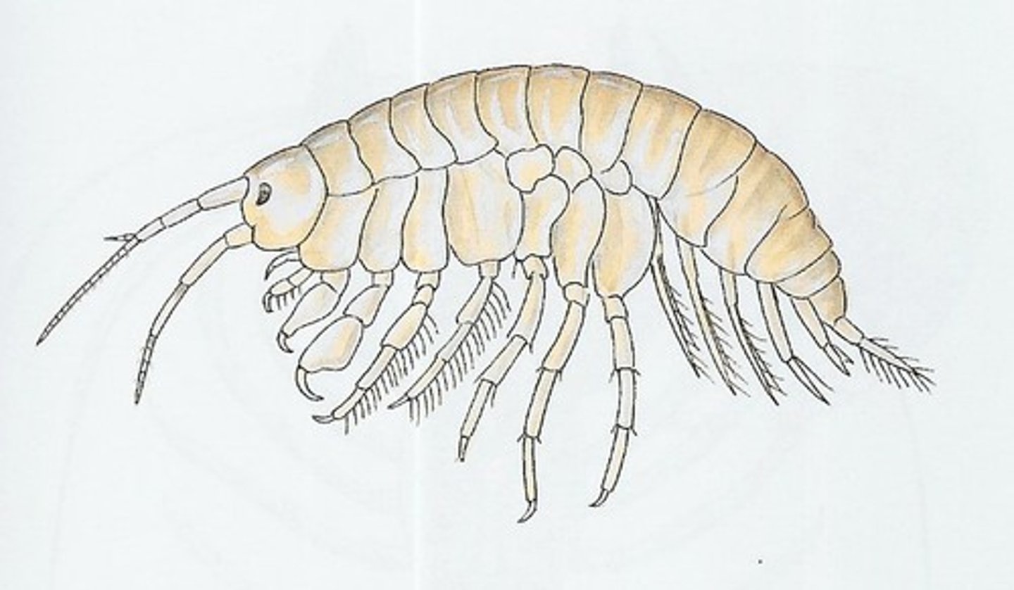 <p>Class 2 moderately sensitive</p>