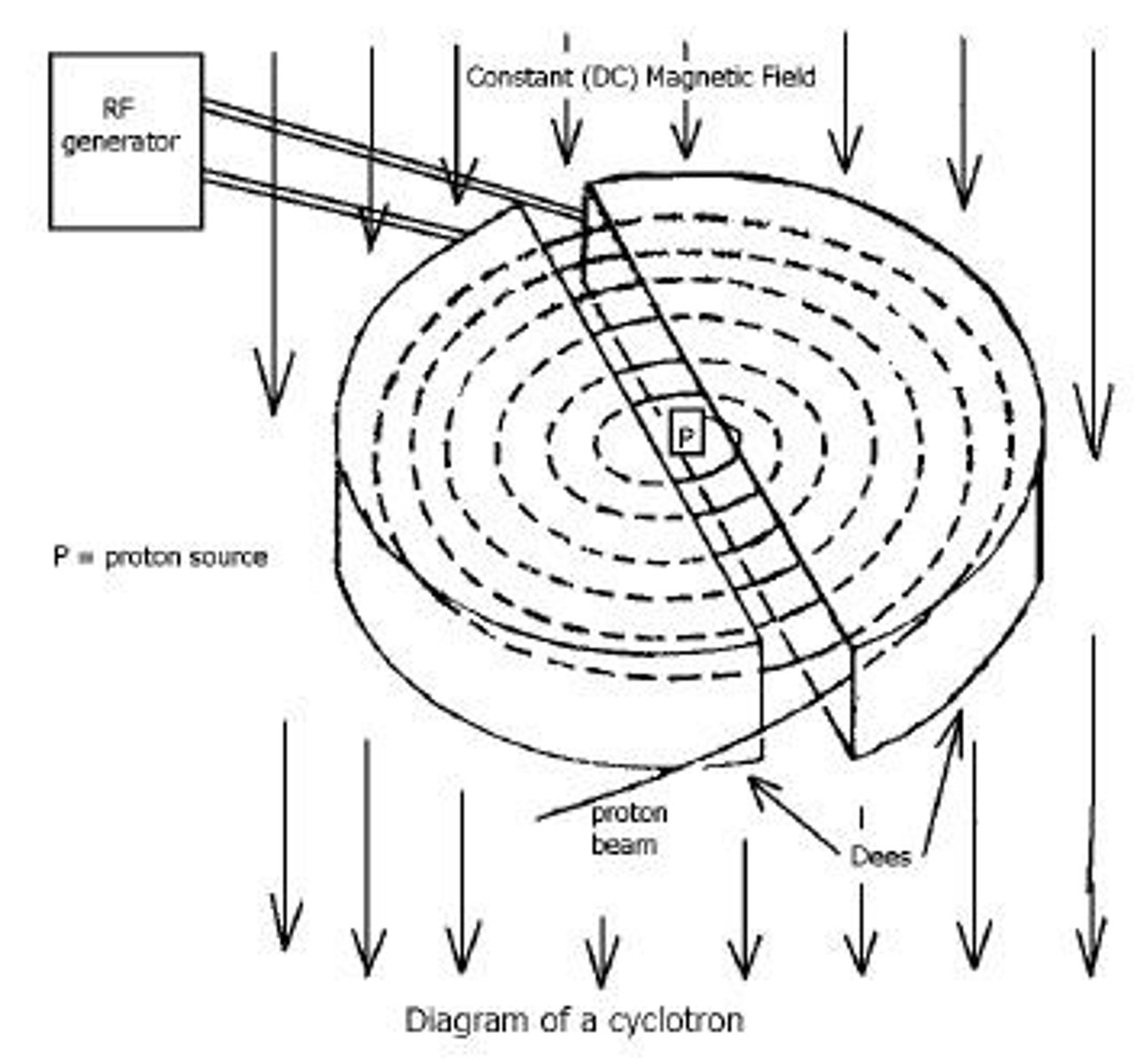 <p>A proton suspended in the gap between 2 Dees will be accelerated by the electric current to the negative D. The magnetic field will act perpendicular to the proton and cause a centripetal force, spiraling the proton back to the gap. At this point the alternating PD is switched and the polarities swapped, the particle is now accelerated to the other D, increasing in velocity and therefore radius of spiral. This repeats until the particle is fired out of the cyclotron.</p>
