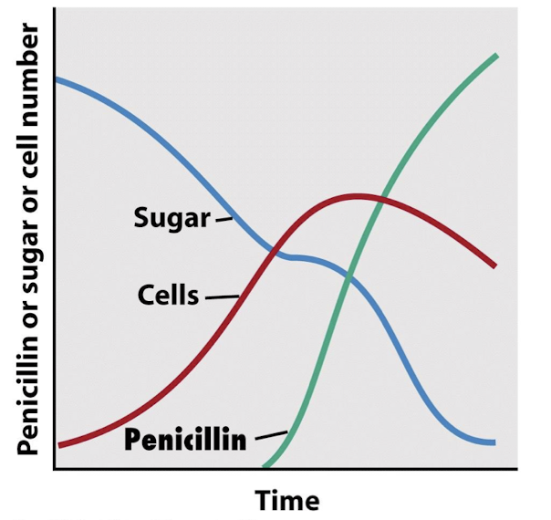 <p>After the microbes have grown and used the sugar substrates involved to grow.</p>