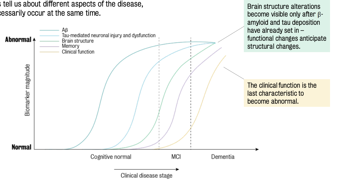 Pathological cascades of AD progression