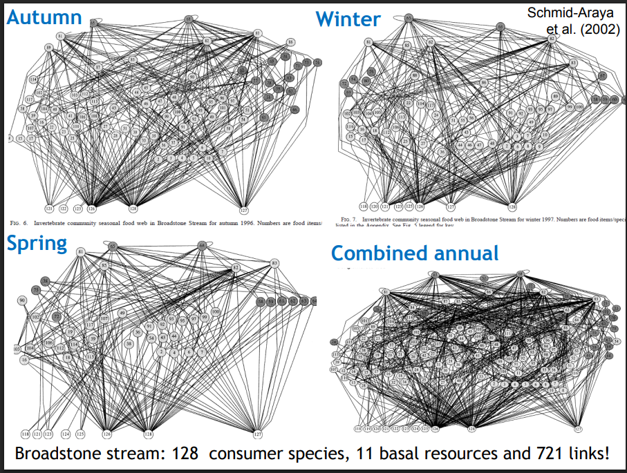 <p>Explain this graph</p>