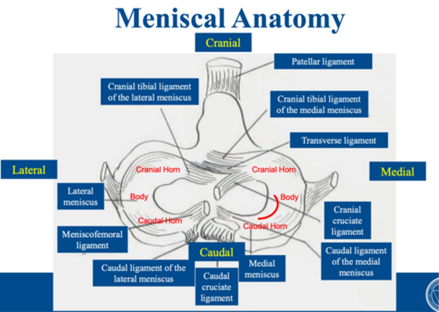 <p>OK you REALLY need to know this so review it!</p>