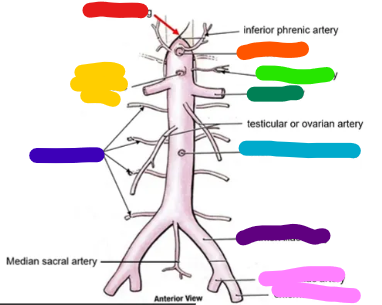 <p>whats indicated by the light purple line </p>