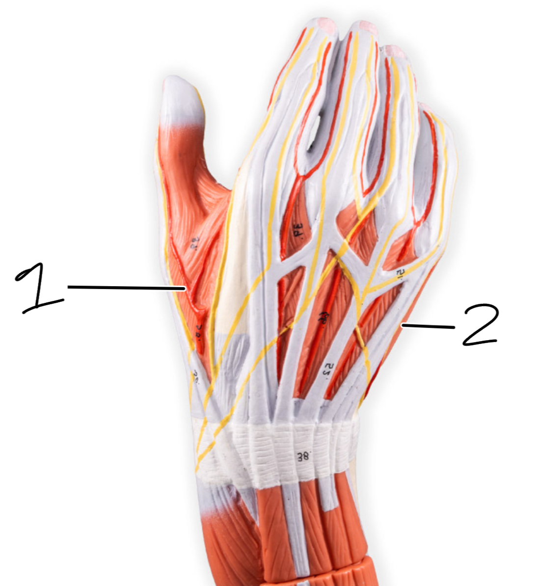 <p>2</p>