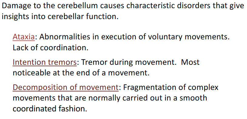 <p>Cannot hold finger out and then touch nose:</p><ul><li><p>tries again but overshoots the boundaries</p></li></ul><p></p>