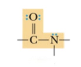 <p>which functional group is this molecule?</p>