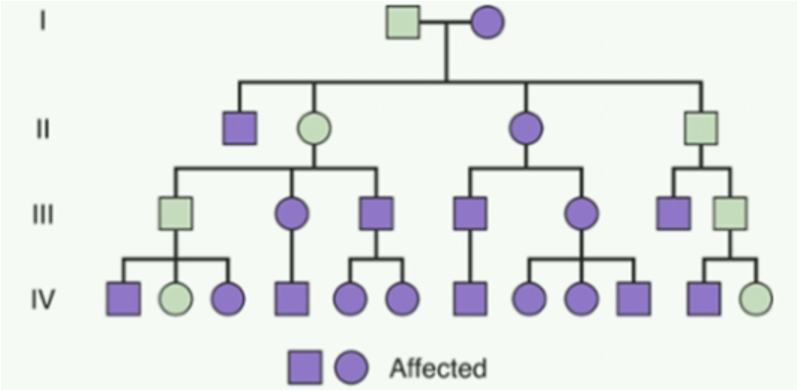 <p>What type of inheritance pattern has vertical transmission, affecting multiple generations with male-male transmission being possible?</p>