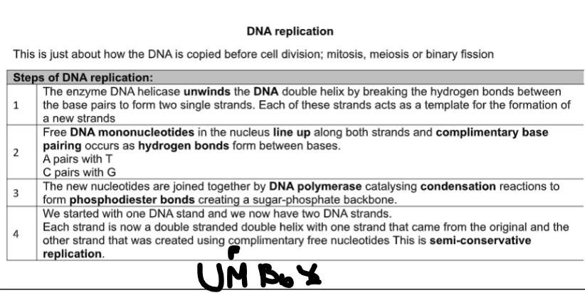 knowt flashcard image
