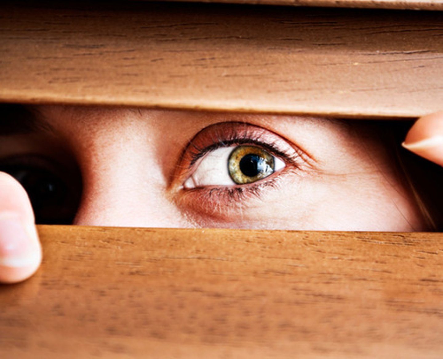 <p>witness</p>
