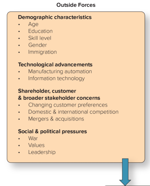 <ol><li><p>Demographic characteristics</p></li><li><p>Technological advancements</p></li><li><p>Shareholder, customer, and broader stakeholder concerns</p></li><li><p>Social and political pressures</p></li></ol><p></p>