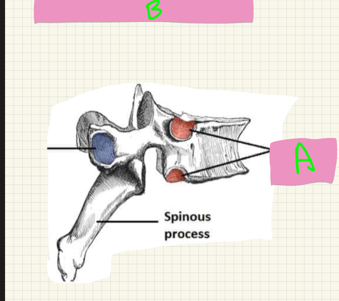 <p>What’s A-B?</p>