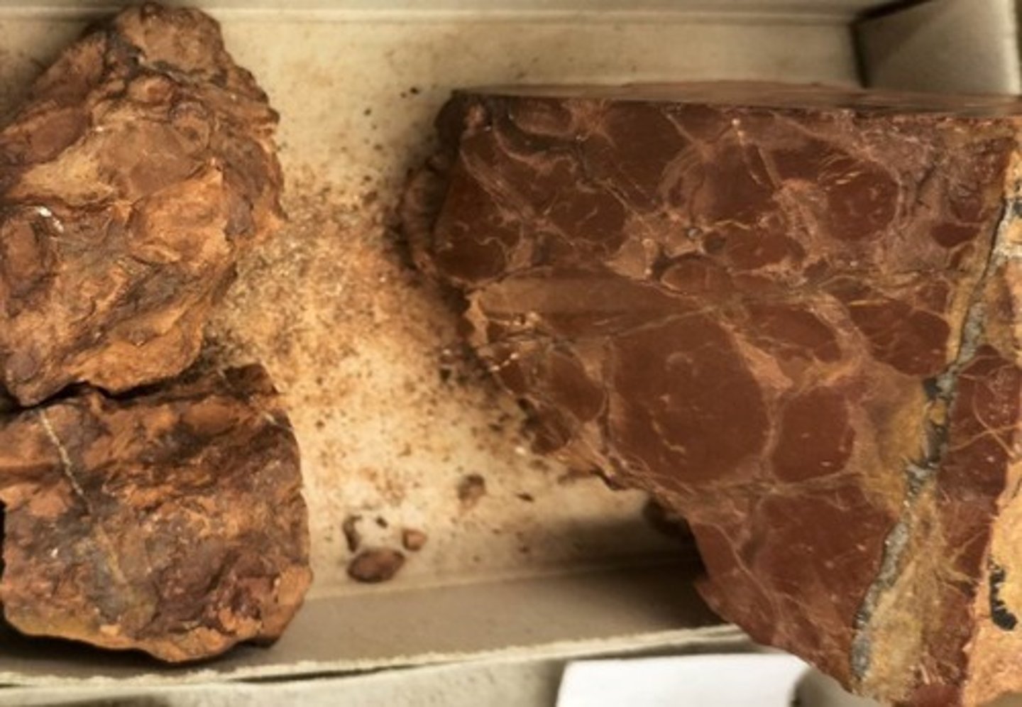 knowt flashcard image