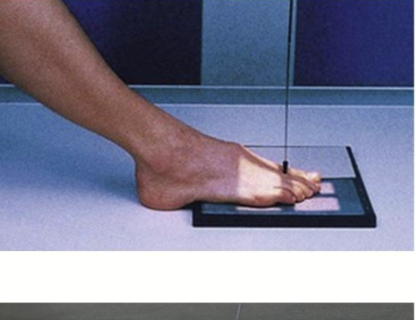 <p>what projection is this</p>