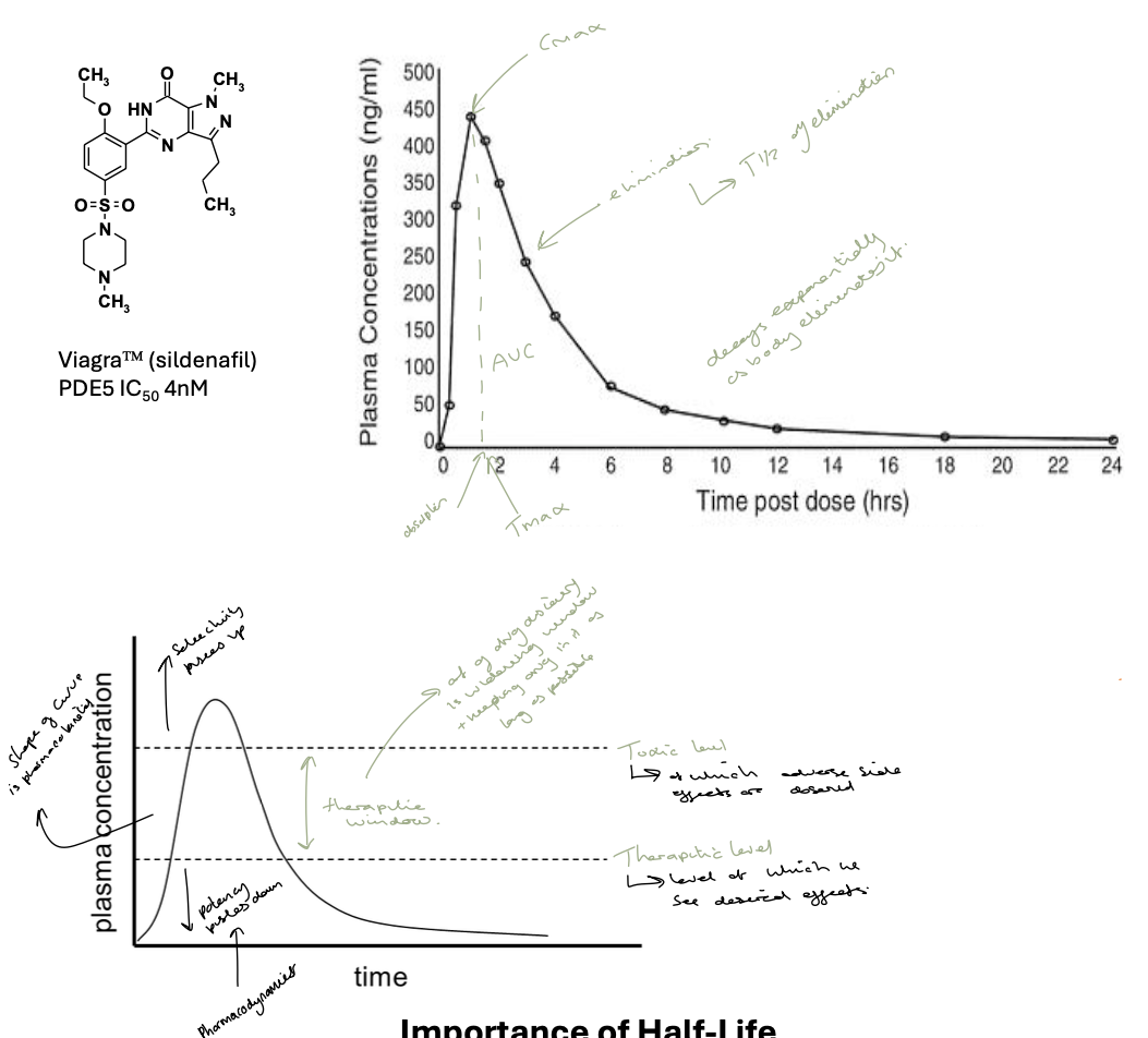 <ul><li><p>to monitor the absorption and elimination of a drug medicinal chemists will construct drug profiles of their drug in vivo </p></li></ul><p></p>