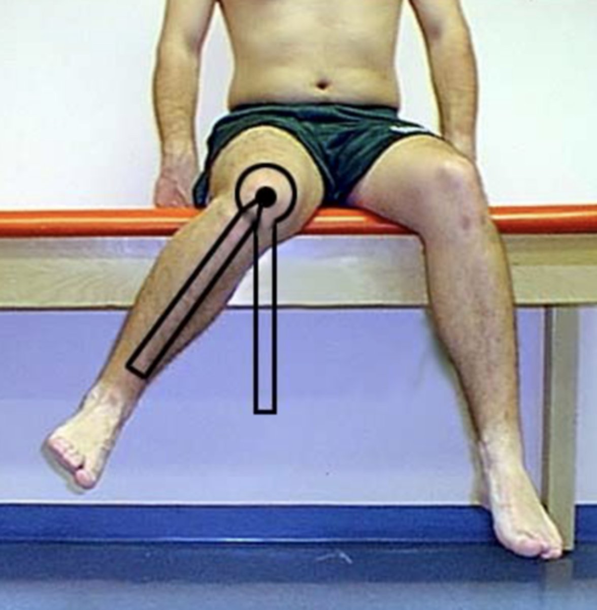 <p><span class="bgP">Fulcrum</span>: <em>anterior</em> aspect of <strong><em>patella</em></strong></p><p><span class="bgB">Proximal arm</span>: <em>perpendicular</em> to <strong><em>floor </em></strong>or<strong><em> </em></strong><em>parallel</em><strong><em> </em></strong>to the support surface</p><p><span class="bgY">Distal arm</span>: <em>anterior midline of lower leg </em>using <strong><em>crest of tibia</em> </strong>and <strong><em>midpoint between malleoli</em></strong></p>