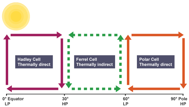 <p>What are the three weather cells that control the movement of heat?</p>