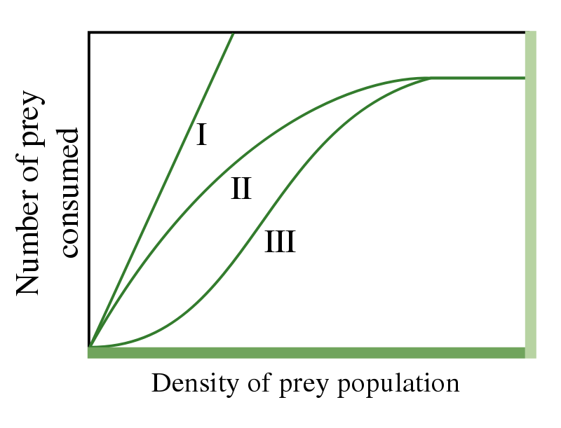 <p>the relationship between the rate at which a consumer consumes food and the density of that food. It's also the number of prey a predator successfully attacks per unit of time. Type I, II, &amp; III.</p>