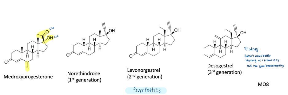 <ul><li><p>-CH3 at C6 on some synthetics</p></li><li><p>-ene at C6-7</p></li><li><p>Substitutions at C17 or C20</p></li></ul><p></p>