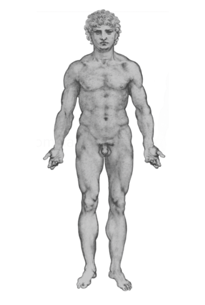 <p>view from the front </p>